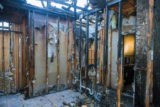 Professional Fire Damage Assessment technician working in Rio, WI